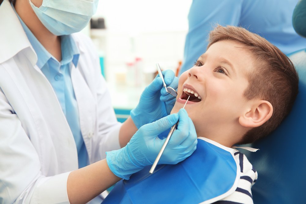 Paediatric Dentist